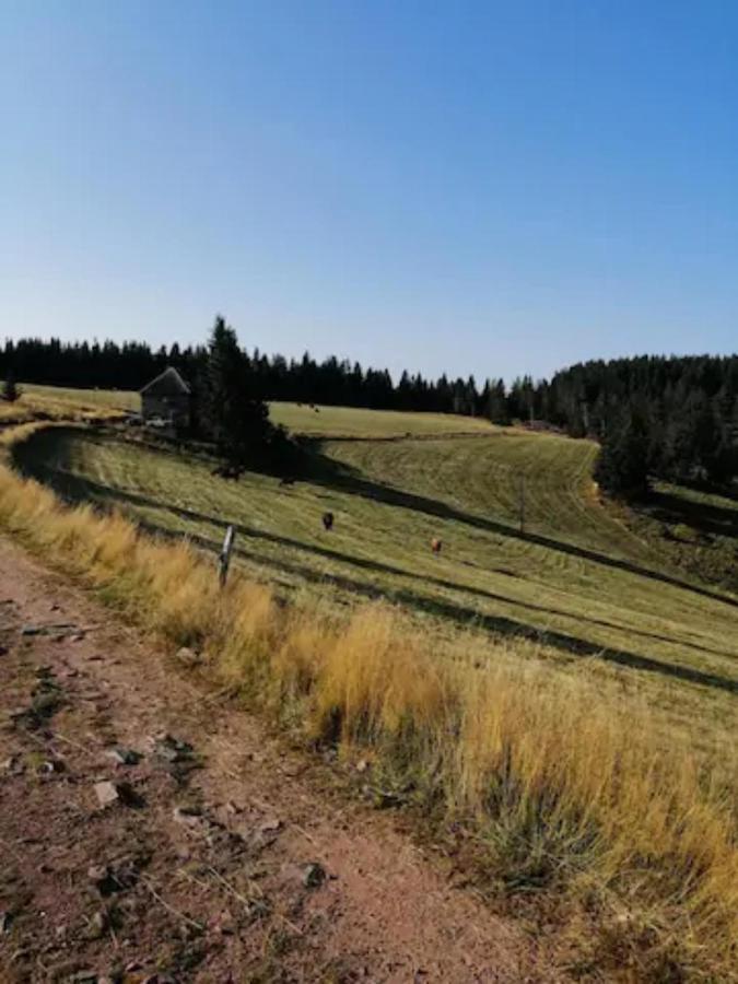 Les Locations de Stéphanie Les Hautes Vosges Sondernach Exterior foto