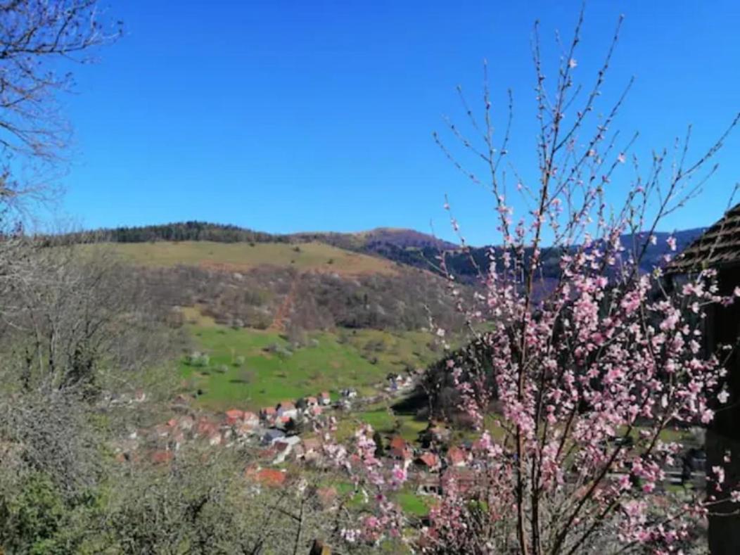 Les Locations de Stéphanie Les Hautes Vosges Sondernach Exterior foto