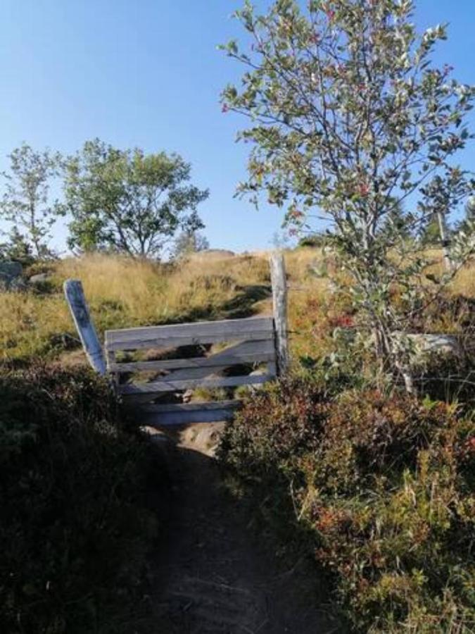 Les Locations de Stéphanie Les Hautes Vosges Sondernach Exterior foto